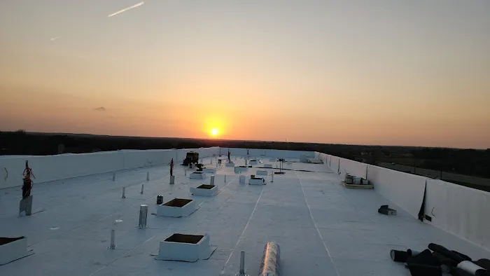 Architecture Roof Systems Picture 9