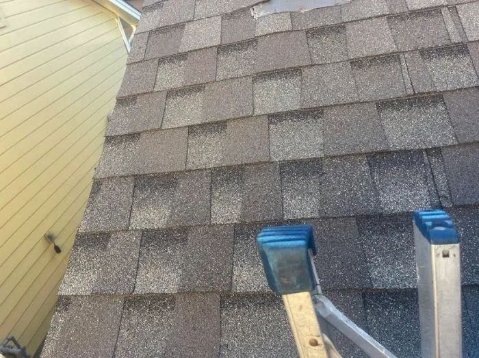 APEX Roofing Picture 10