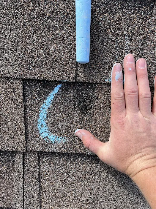 Rhino Roofers: Austin Roofing Company Picture 9