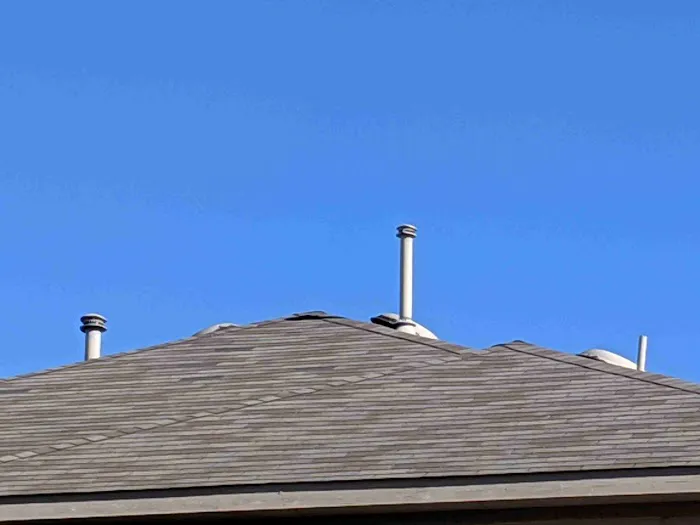 Roof Royale Picture 6