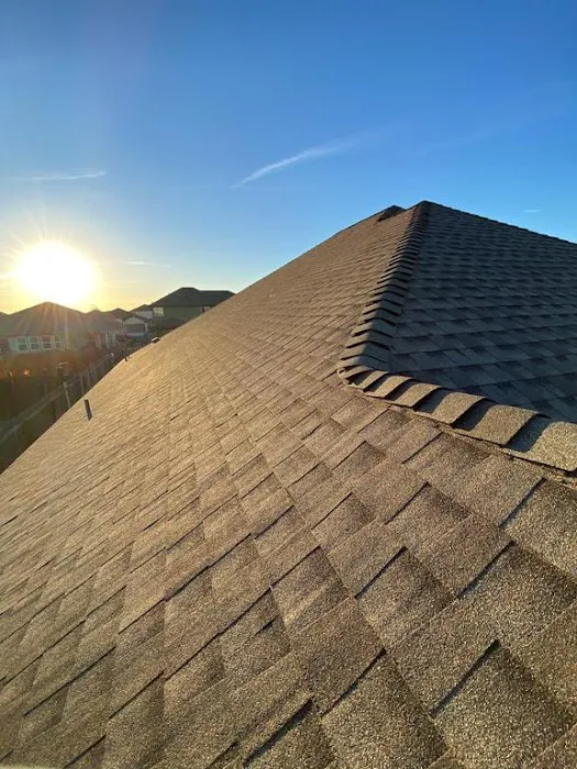 Roofer Chicks Picture 3