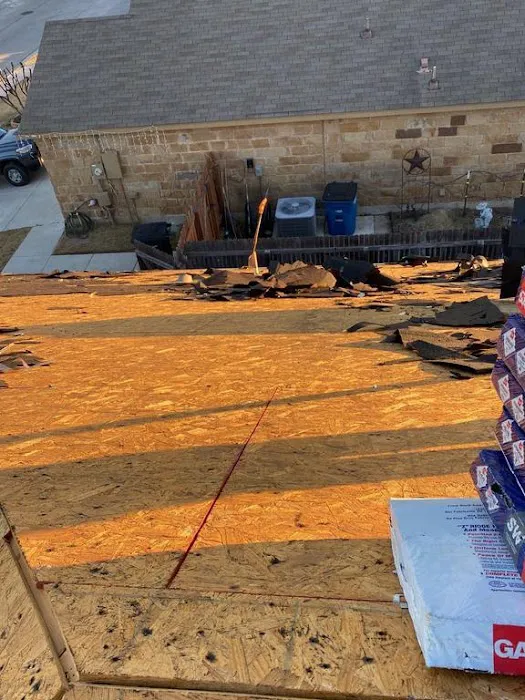 Roofer Chicks Picture 7