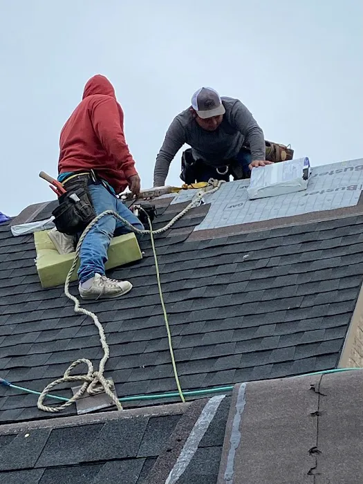 Roofer Chicks Picture 6