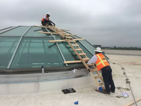 Chamberlin Roofing & Waterproofing Picture 7