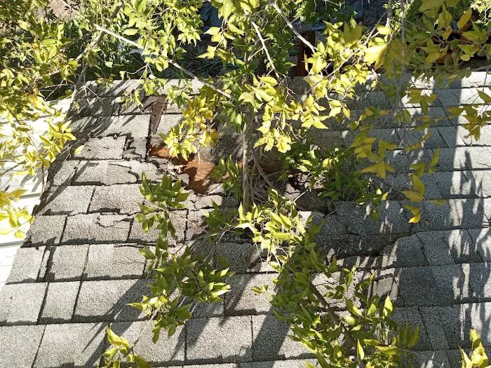 Tinsley Roofing LLC Picture 8