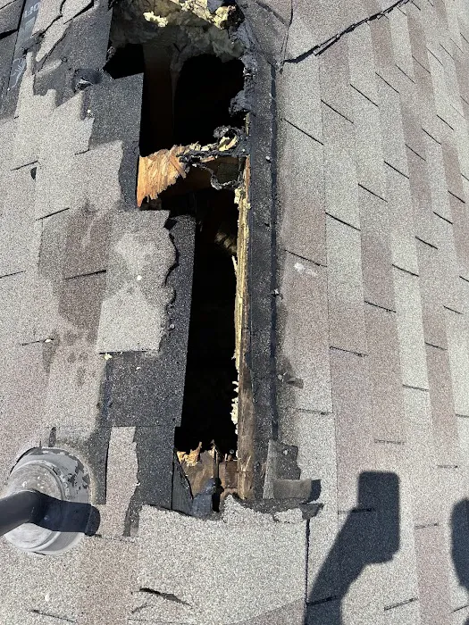 Live Oak Roofing Picture 5