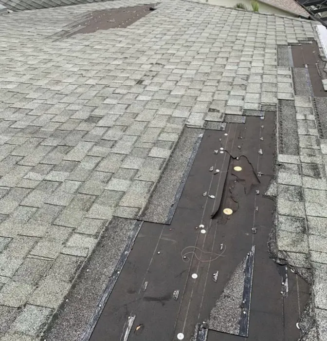 Live Oak Roofing Picture 3