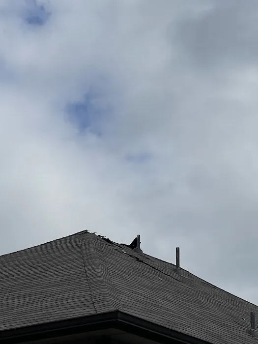 Live Oak Roofing Picture 6