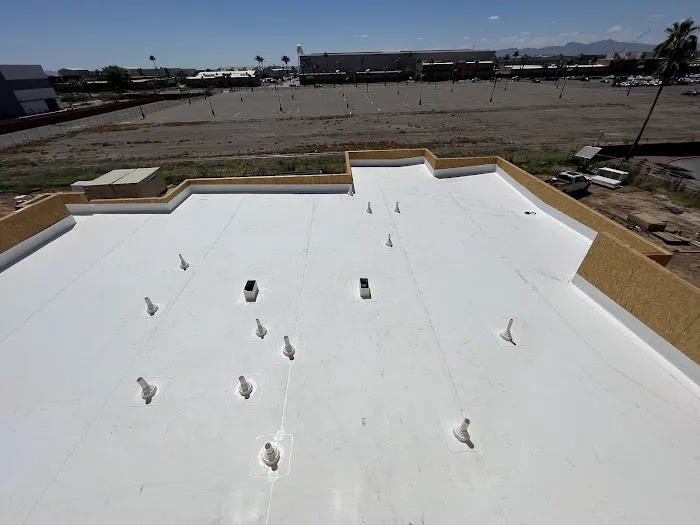 Raptor Roofing And Construction LLC Picture 2