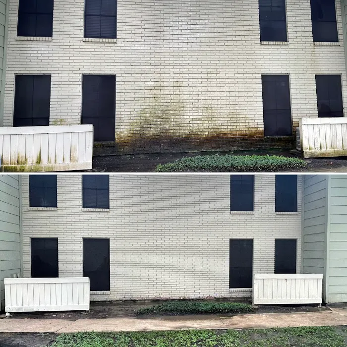 Roof Restore Picture 8