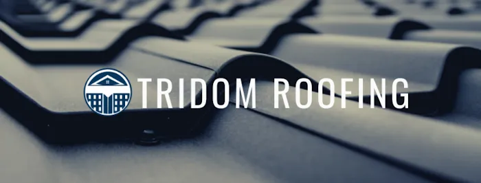 Tridom Roofing LLC Picture 9