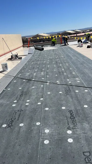 Basic Roofing Picture 4