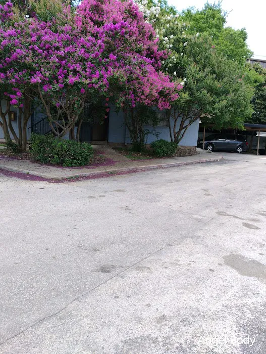 Texas Lawnpros Services Picture 4