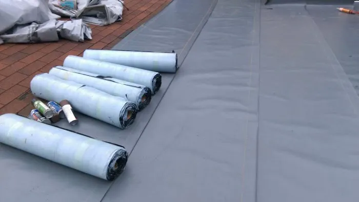 Texas Lawnpros Services Picture 8