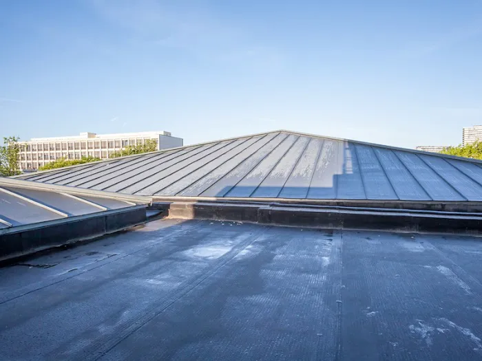 Superior Southern Picture 4