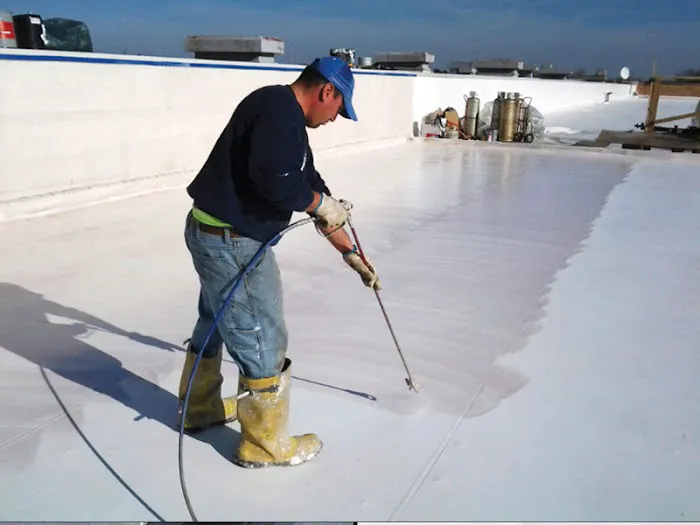 Superior Southern Picture 8