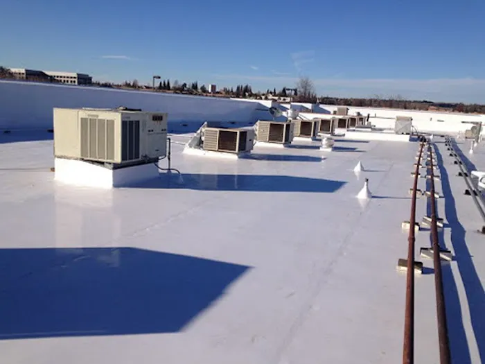 Superior Southern Picture 2