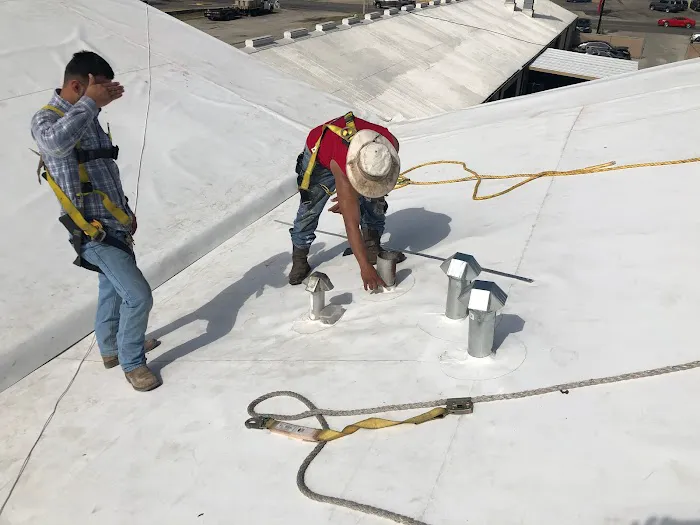 Roofing RX Picture 4