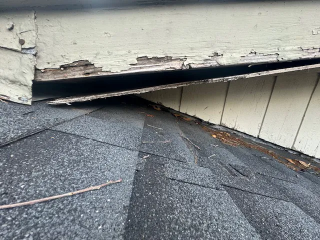 Results Roofing Picture 5