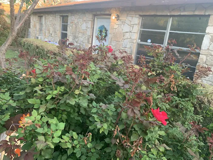 Better Roofing USA, Inc. Picture 8