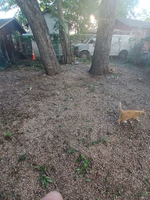 Roof Squad Picture 1