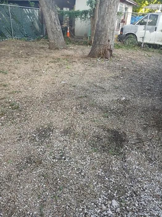 Roof Squad Picture 2