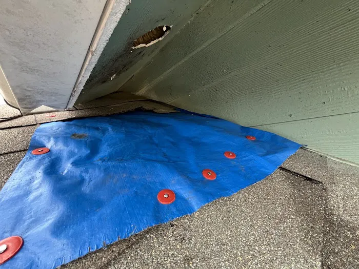 Martin Roofing And Solar Picture 10