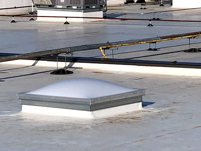 South Texas Warriors LLC Picture 10