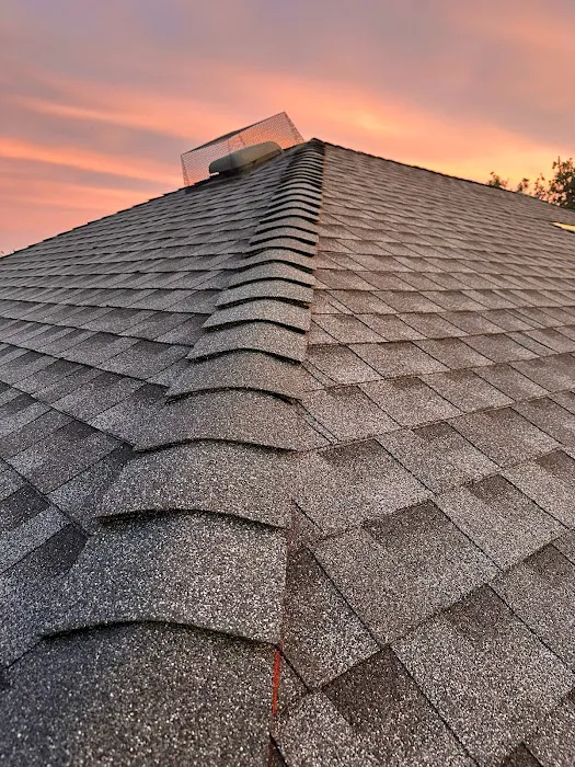 Primary Roofing Picture 5