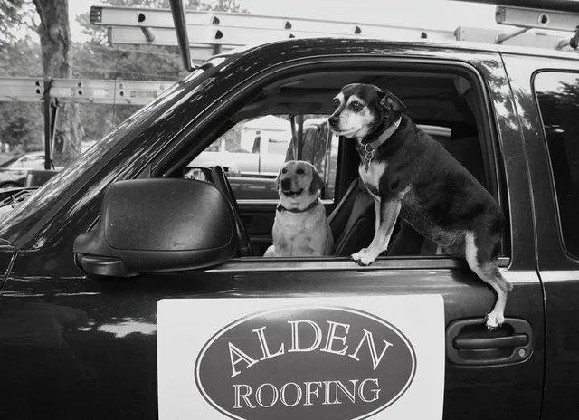 Restoration Builders of Texas Picture 6