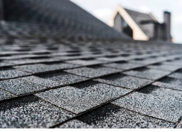 Pegasus construction Picture 2