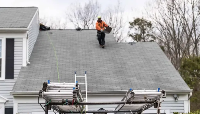 Pegasus construction Picture 1