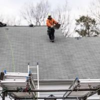 Pegasus construction ico