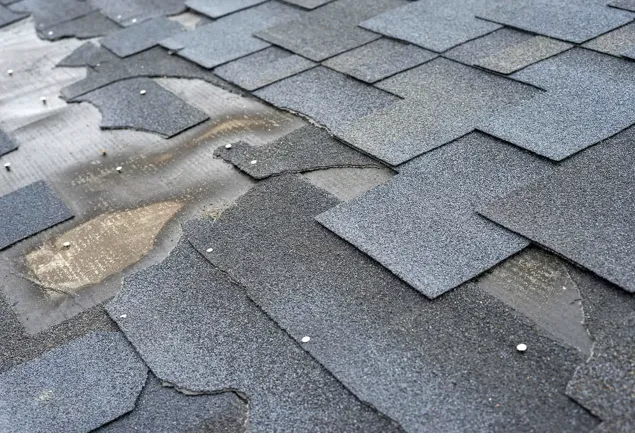 Pegasus construction Picture 5