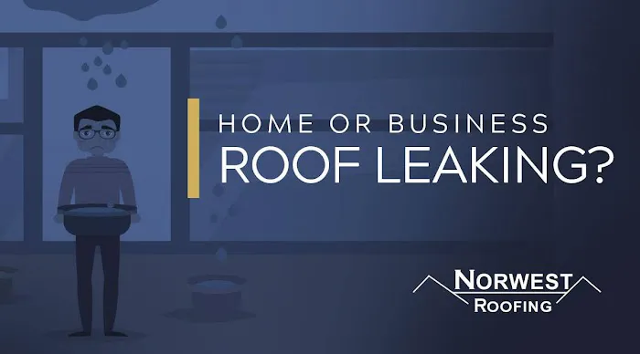 Norwest Roofing San Antonio Picture 7