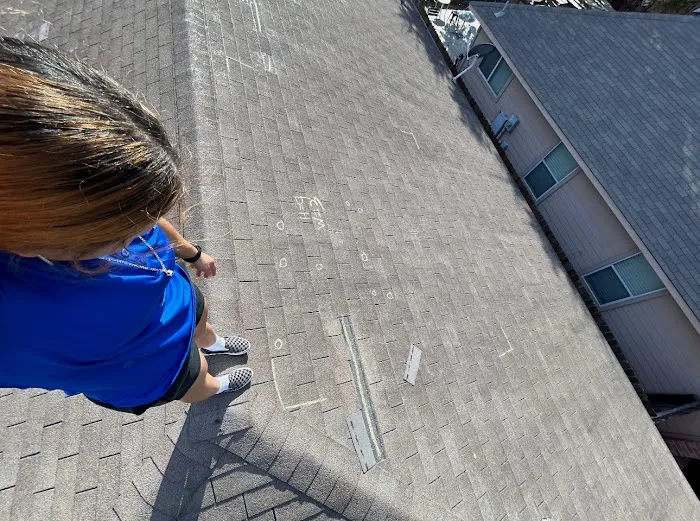 Mighty Dog Roofing Picture 6