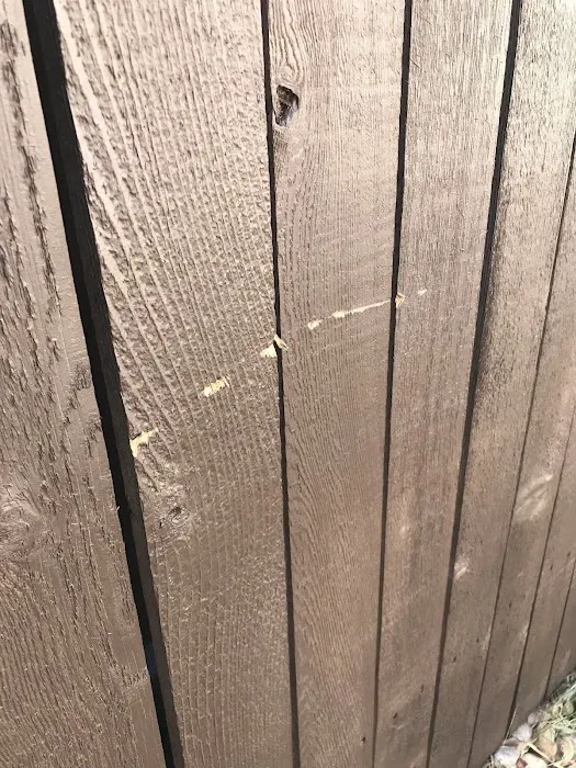 Titan Roofing Picture 6