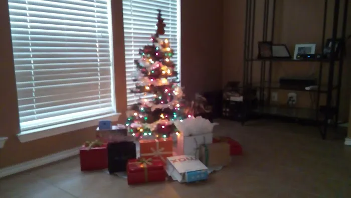 Navarro Roofing Picture 2