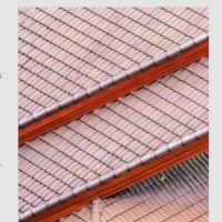 Robinson & Sons Roofing & Remodeling ico