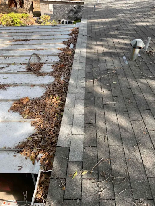 Roof Rescue Picture 5