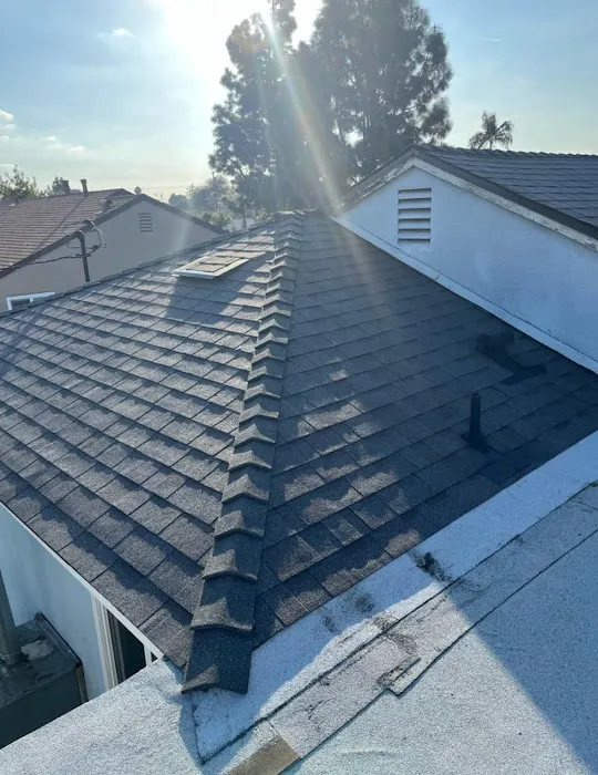 Shingle Guard Roofs. Picture 1