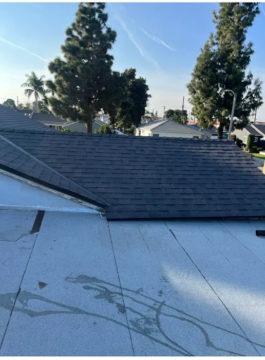 Shingle Guard Roofs. Picture 4
