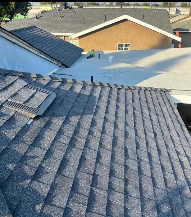 Shingle Guard Roofs. Picture 7