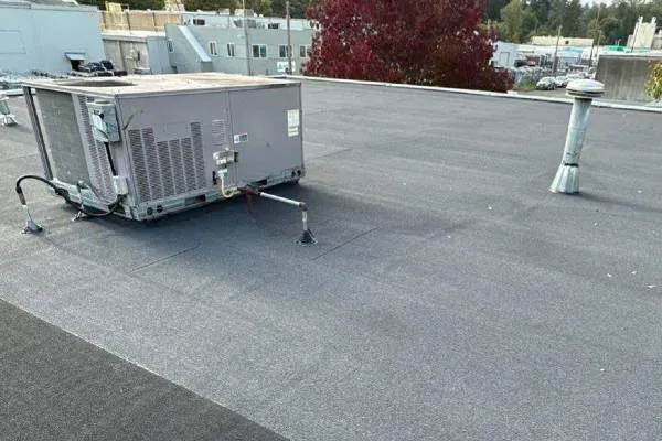 Alpha Metal Roofing Picture 5