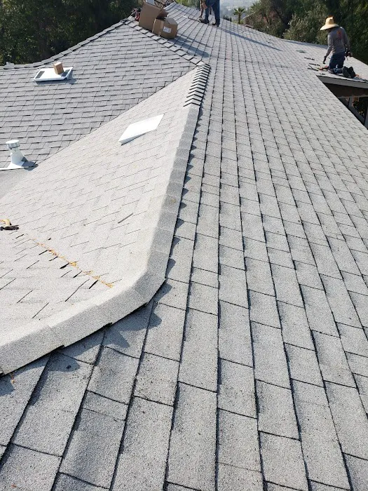 Guardian Roofs Picture 1