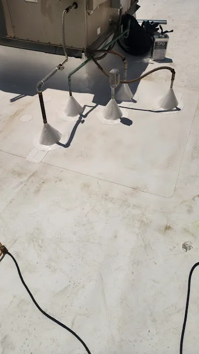 West Coast Roofing Co Picture 6