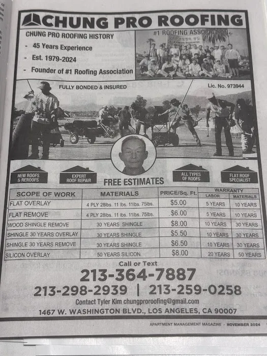 Chung Pro Roofing Picture 1