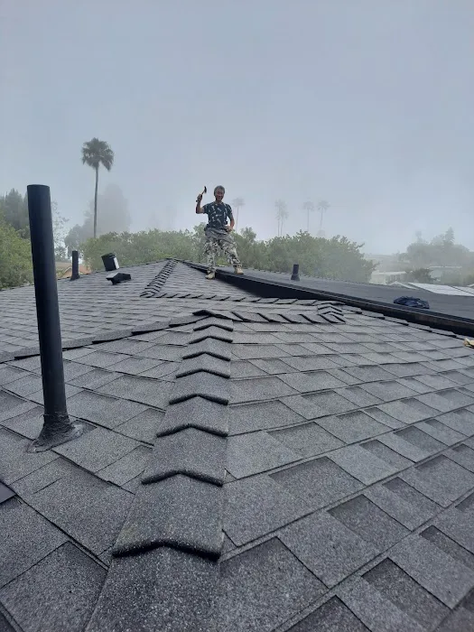 Superman LA Roofing | 슈퍼맨 엘에이 루핑 Picture 5