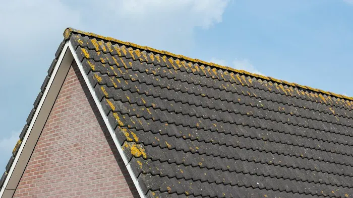 Urban Peak Roofing Solutions Co. Picture 5