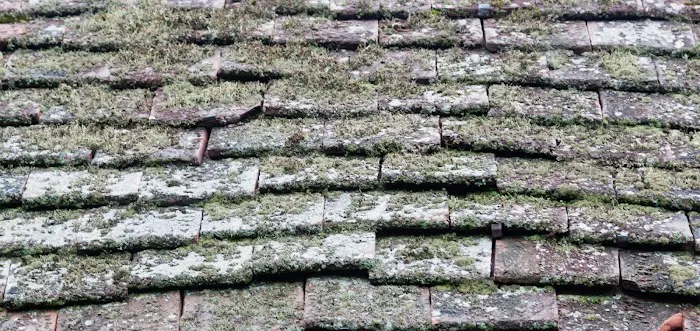 Urban Peak Roofing Solutions Co. Picture 7